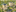 Nieuwbouw Zaartoever Veld 12 58 59